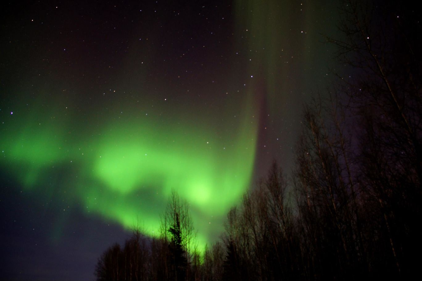Photo of The Last Frontier - Alaska By David Shih