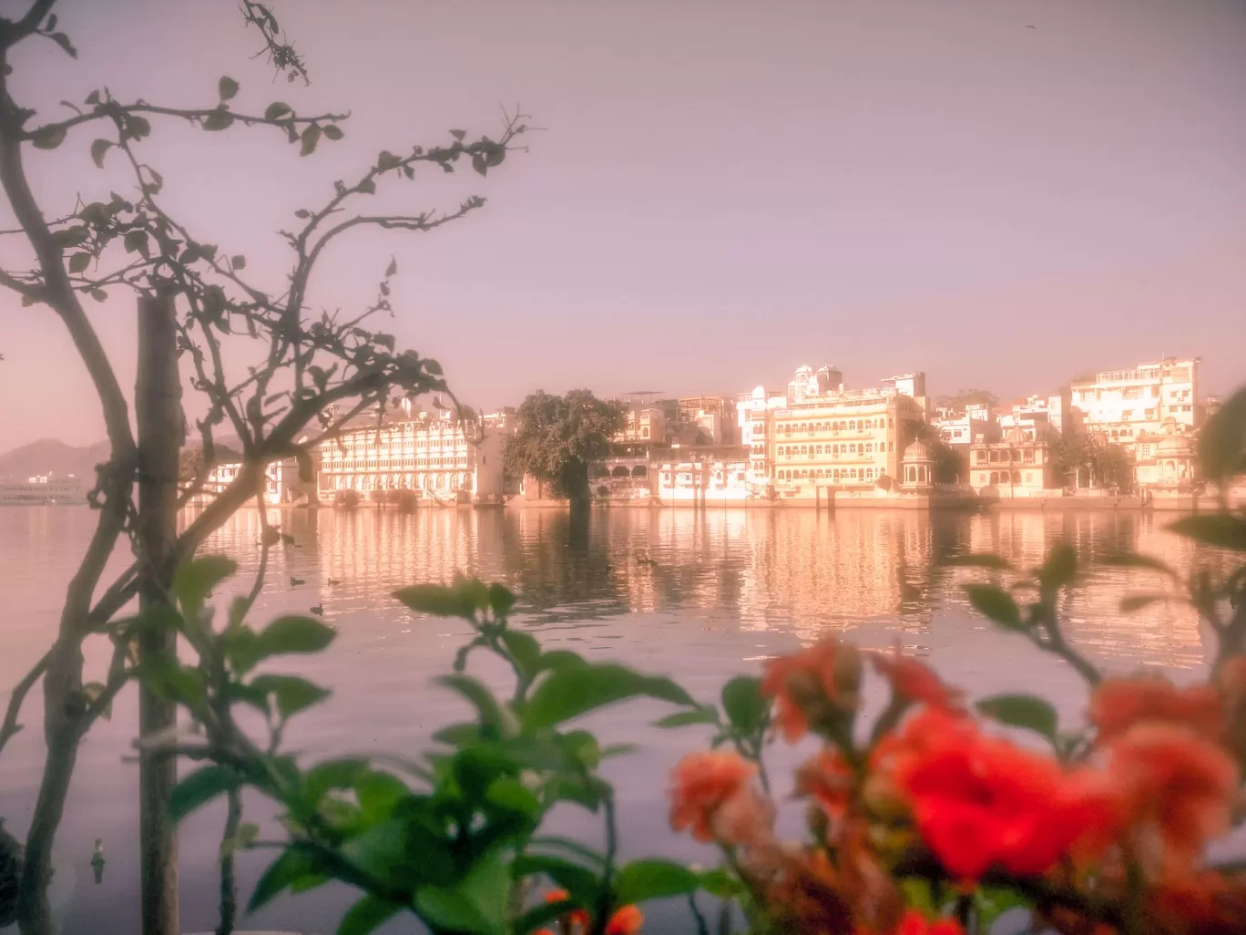 Photo of Udaipur By Dhara Tank