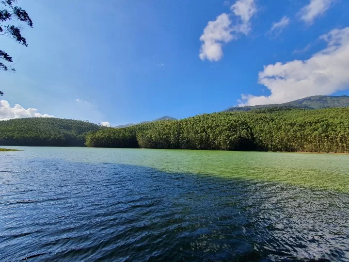 Photo of Munnar By Nevin Jose Antony