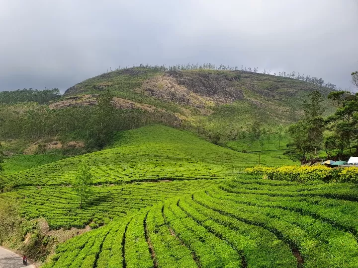 Photo of Munnar By Nevin Jose Antony