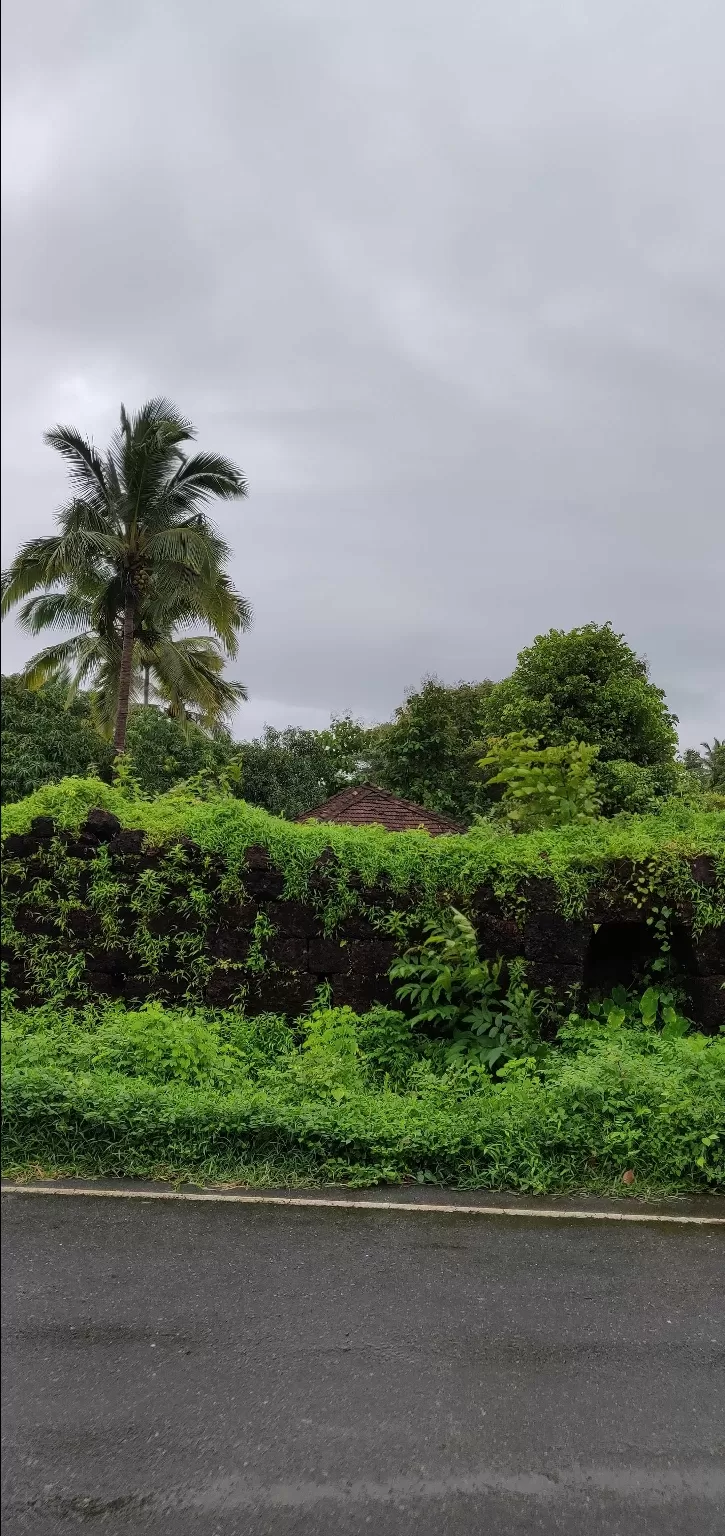 Photo of Colva By Raina Pal
