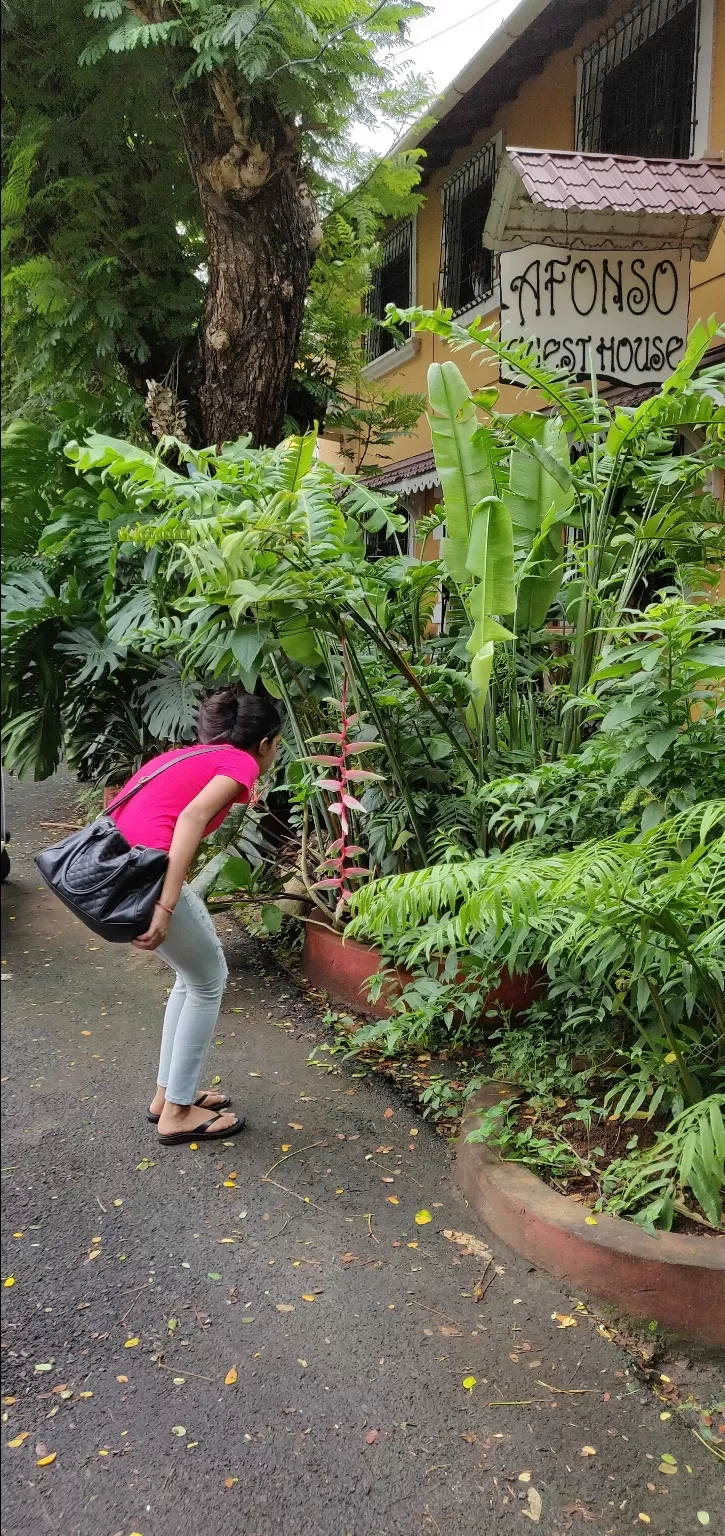Photo of Colva By Raina Pal