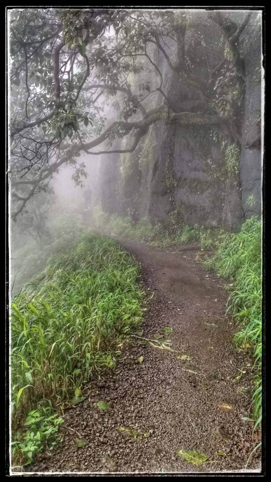 Photo of Rajgad Fort By D@₹¶a|\|