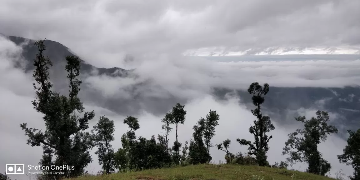 Photo of Dogadda Range By Ankit Chaudhary