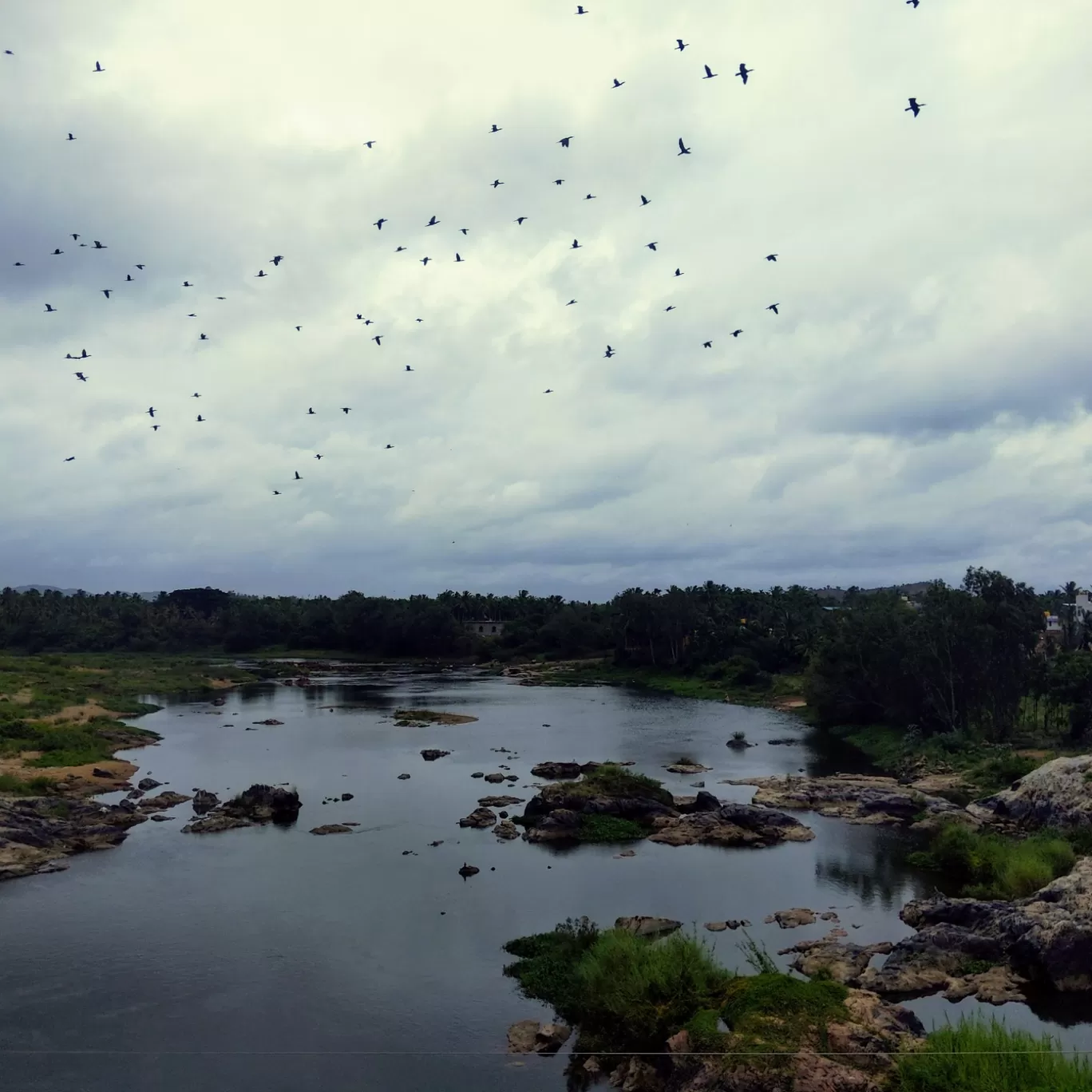 Photo of Shivamogga By Shobana