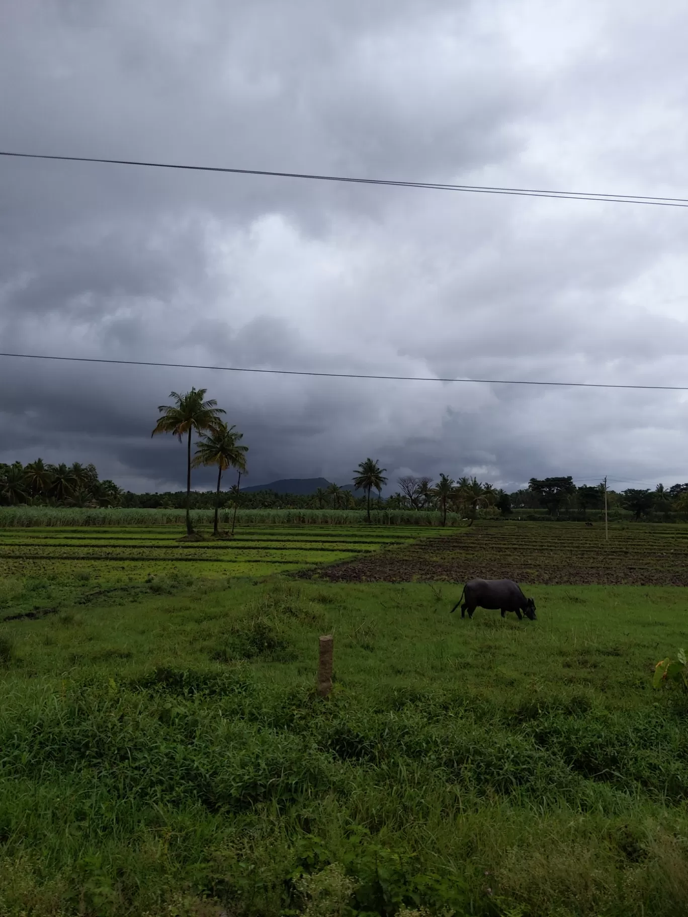 Photo of Shivamogga By Shobana