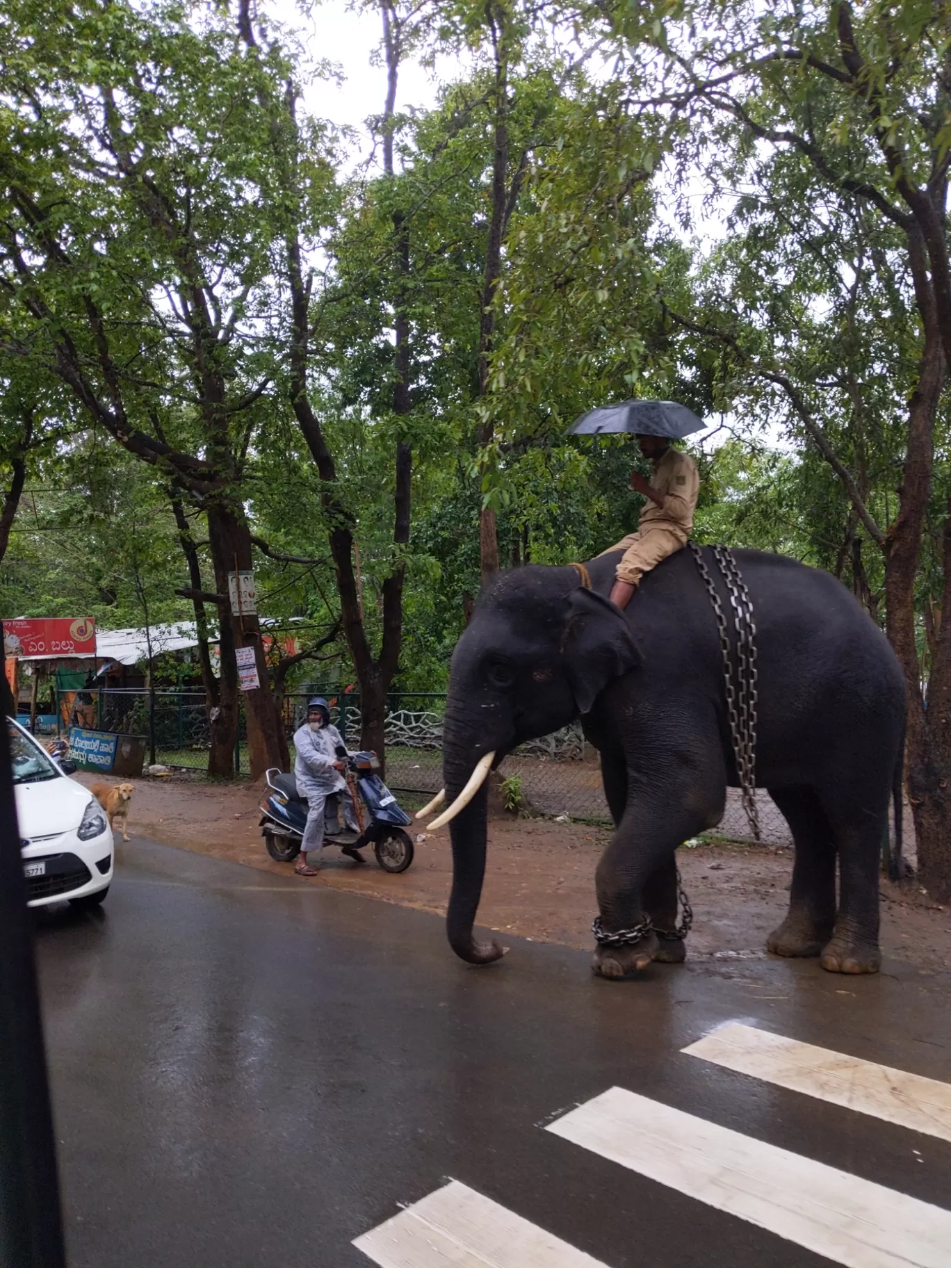 Photo of Shivamogga By Shobana