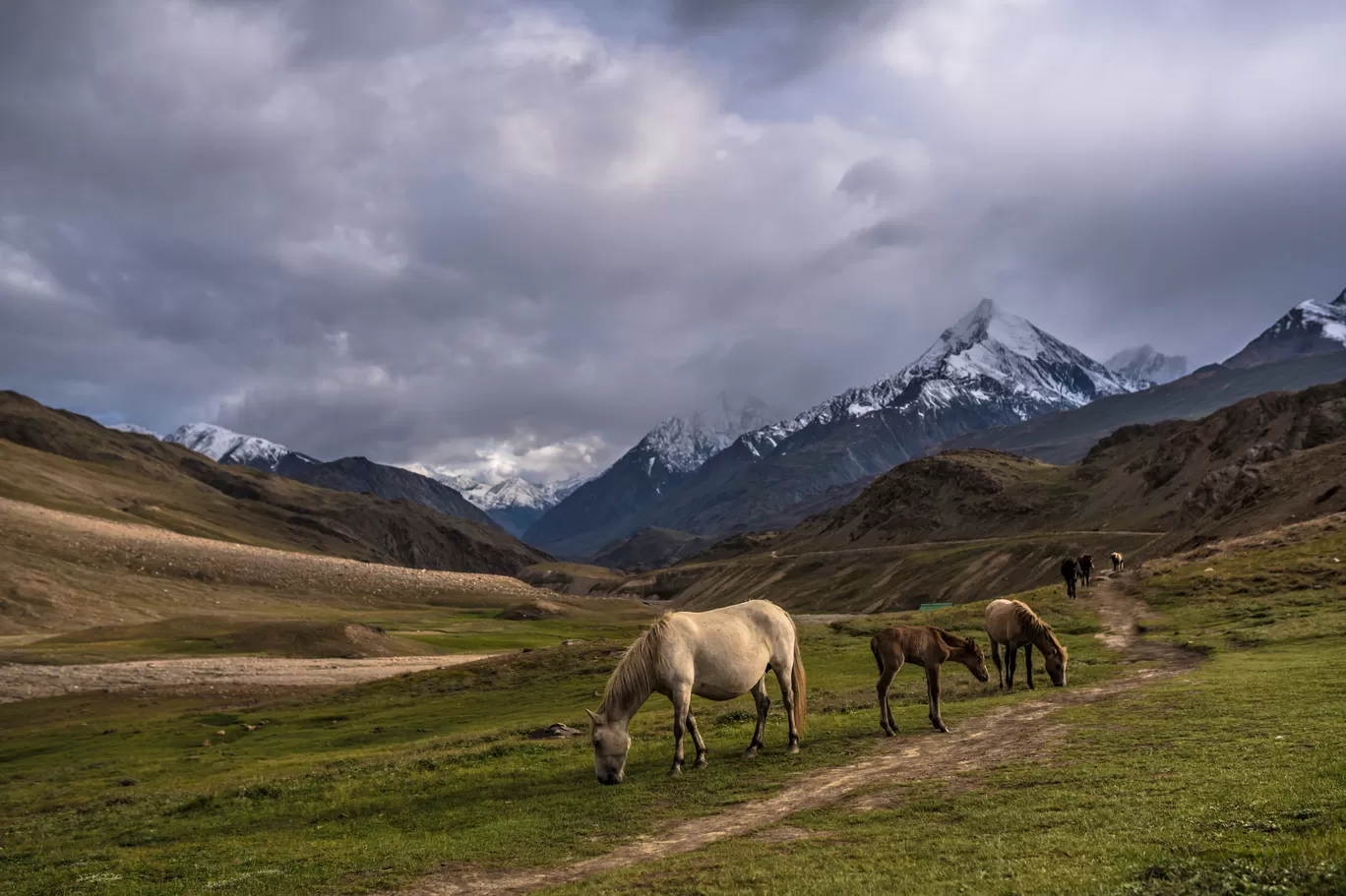 Photo of Spiti Valley By Mayank Handa