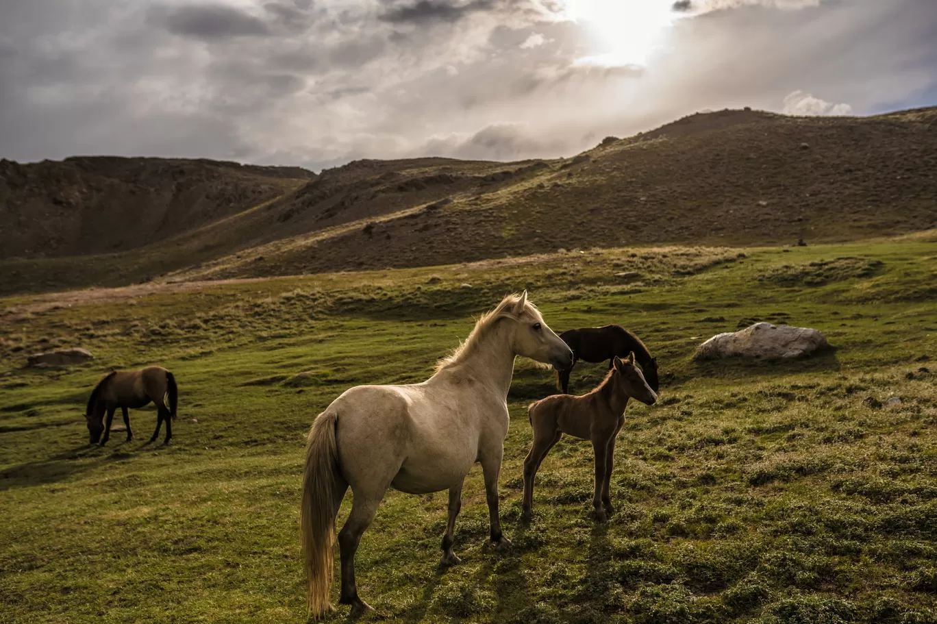 Photo of Spiti Valley By Mayank Handa