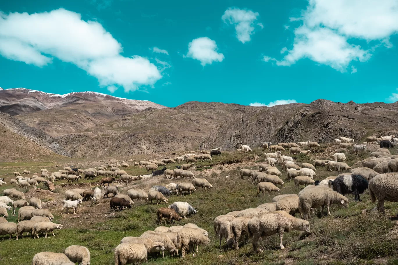 Photo of Spiti Valley By Mayank Handa