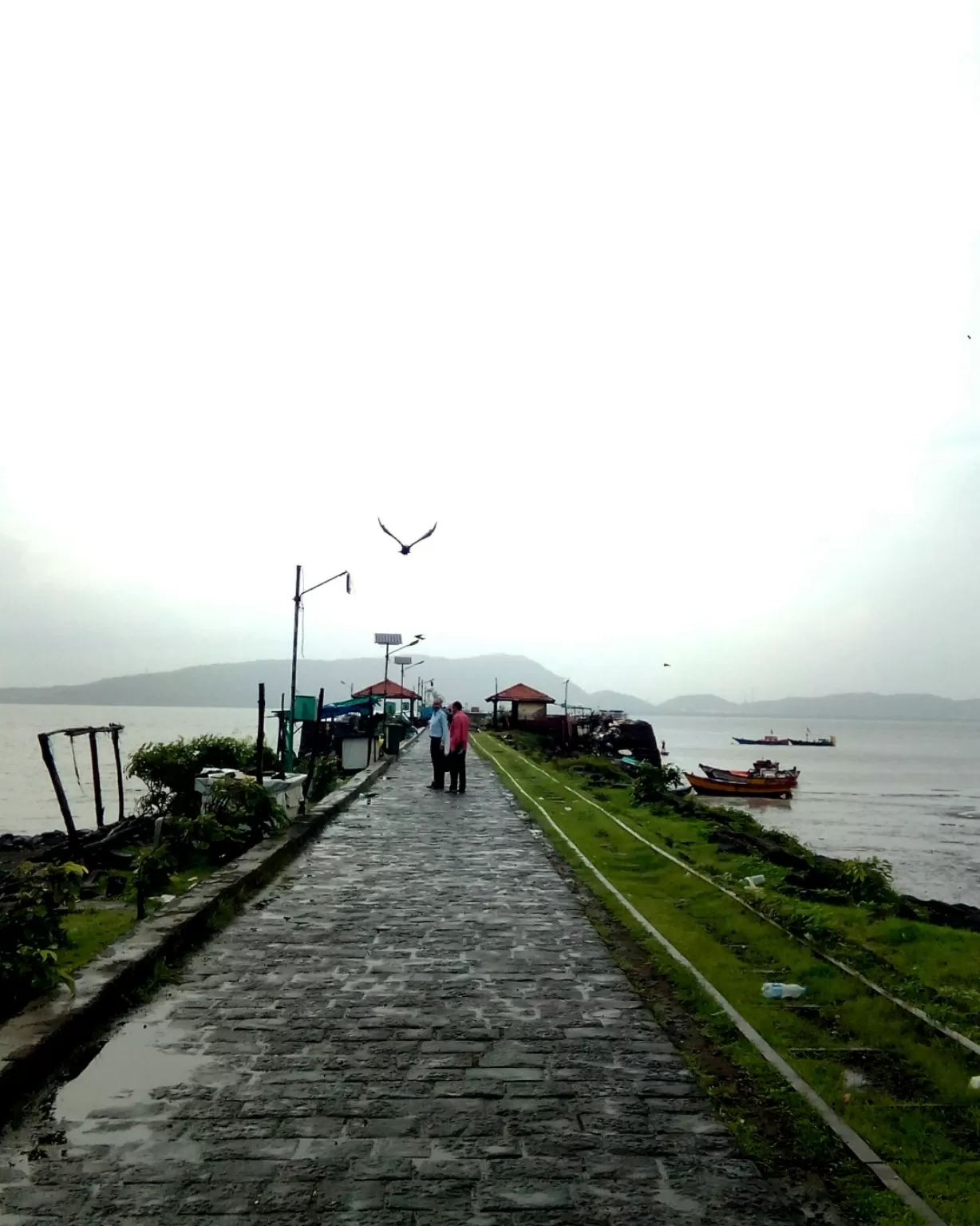 Photo of Bombay By Yoshita
