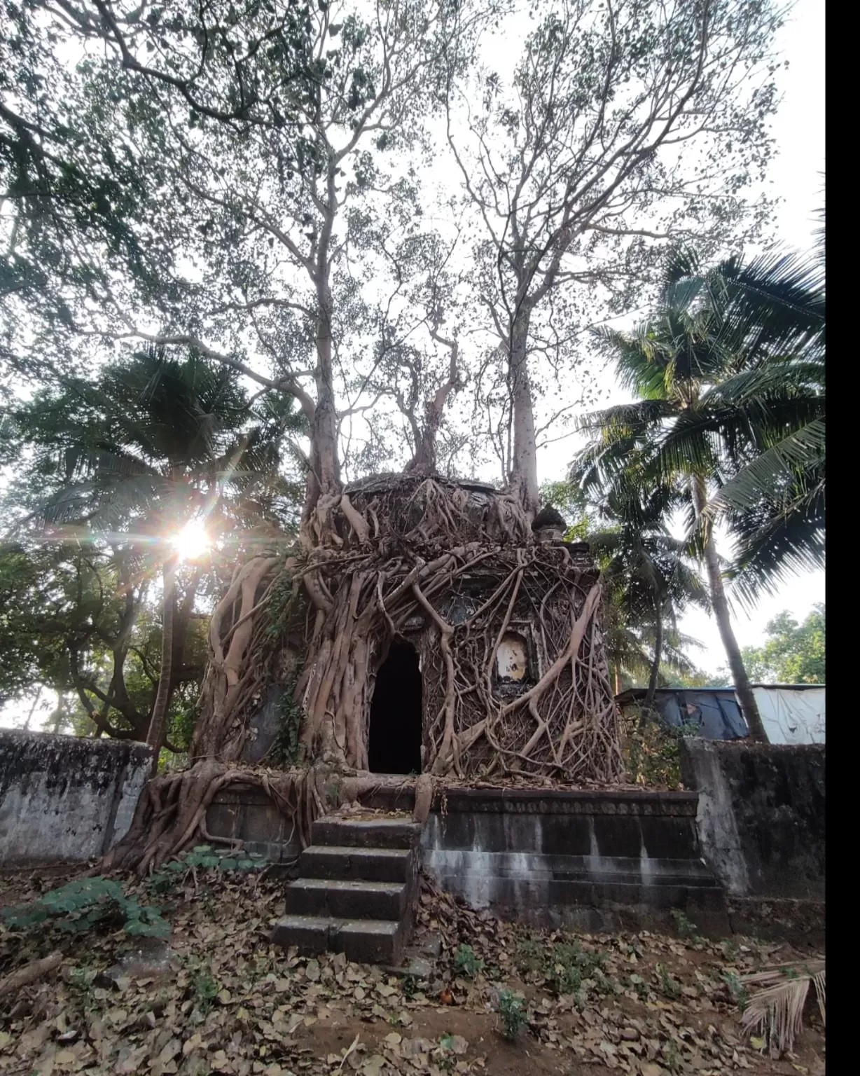 Photo of Arnala Fort Virar By Trupti Hemant Meher