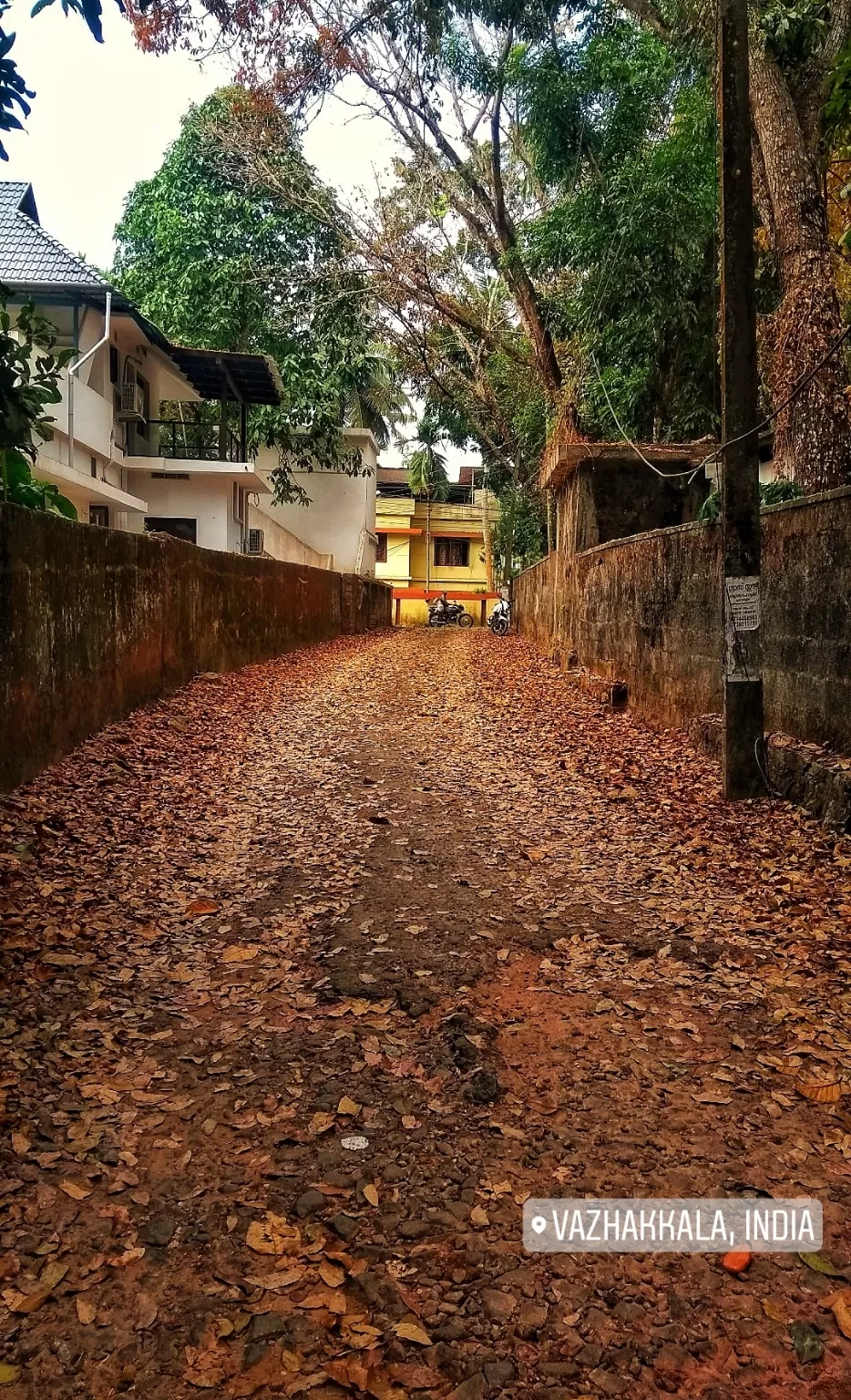 Photo of Kochi By Prithvi Raj