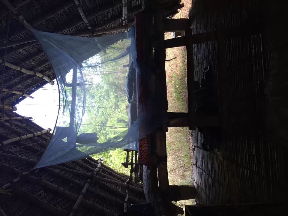 Photo of Sadhana Forest By Sera Francis
