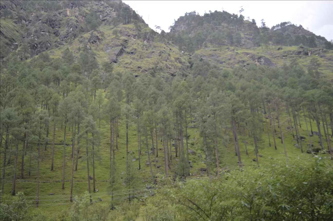Photo of The Magic Valley Waichin By Secret India 