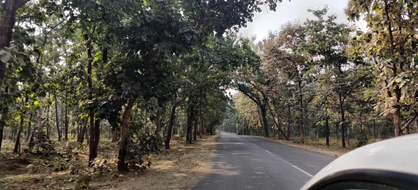 Photo of Hemalkasa By Alok Pole