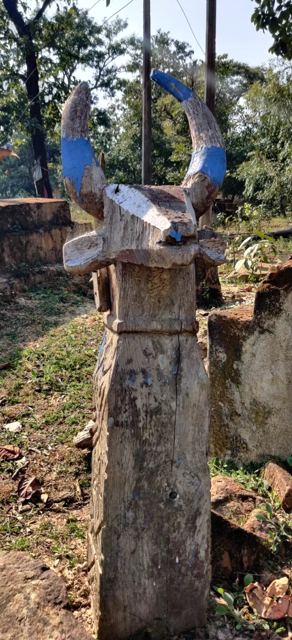 Photo of Hemalkasa By Alok Pole