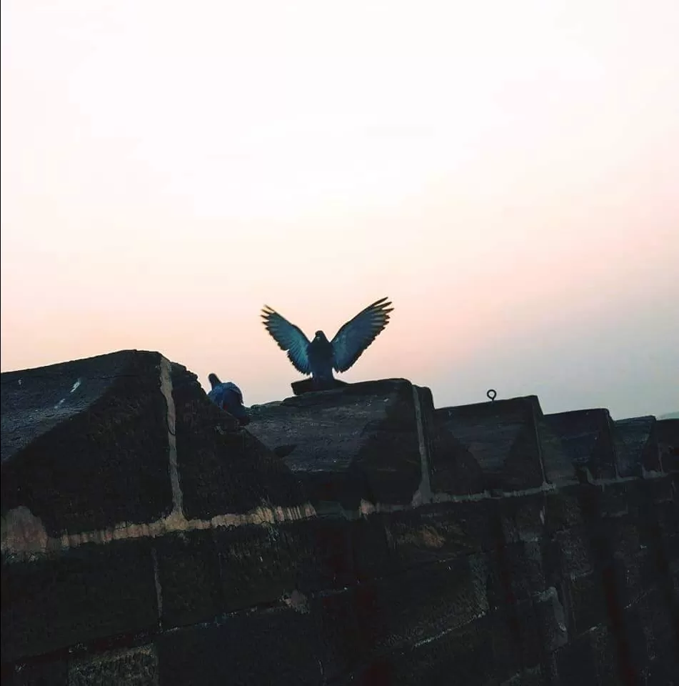 Photo of Jaisalmer By suman.magan