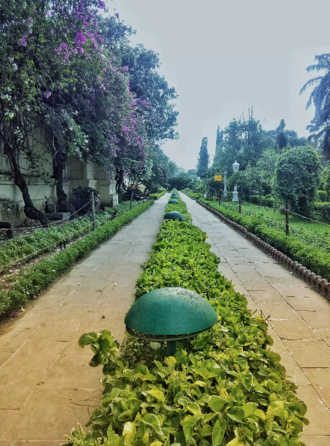 Photo of Udaipur By Mehul Oswal