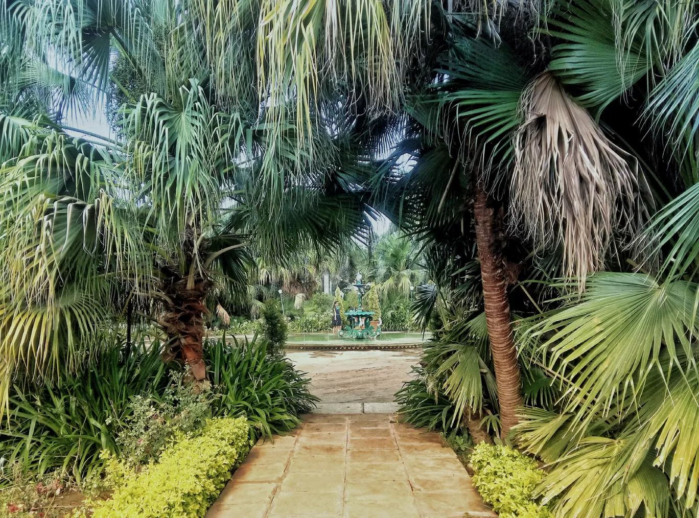 Photo of Udaipur By Mehul Oswal