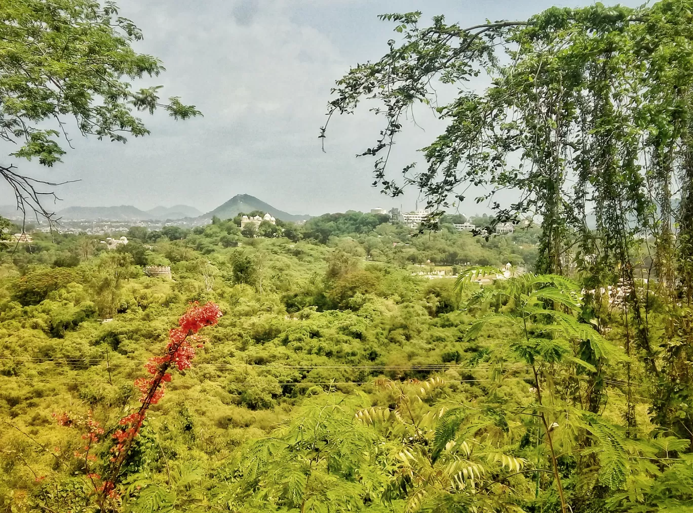 Photo of Udaipur By Mehul Oswal