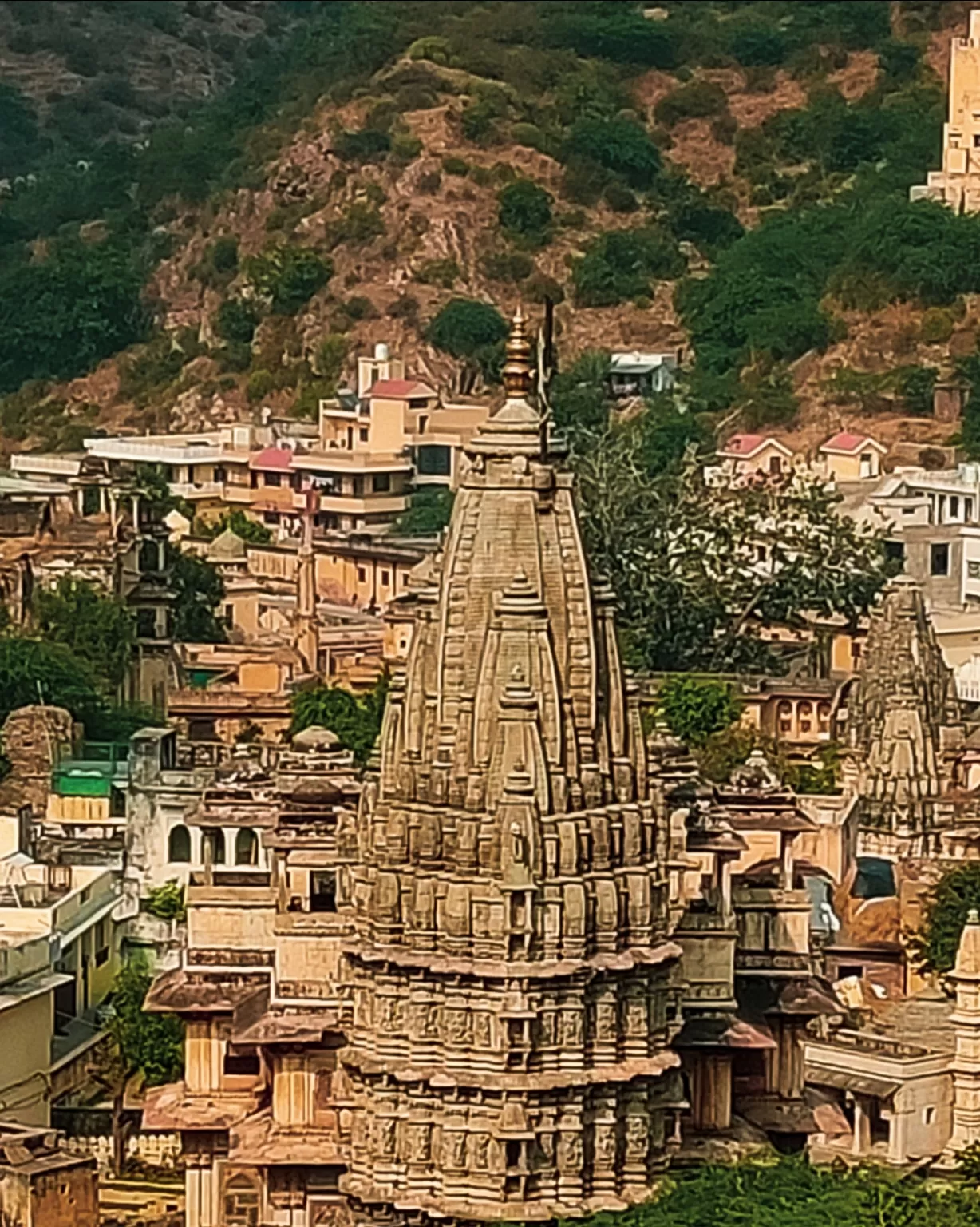 Photo of Jodhpur By Zarna Visawadia