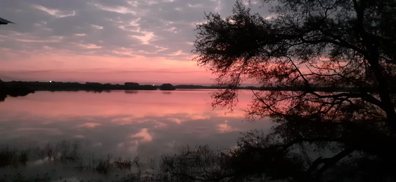 Photo of Thol Bird Sanctuary By Dhanani Yatish