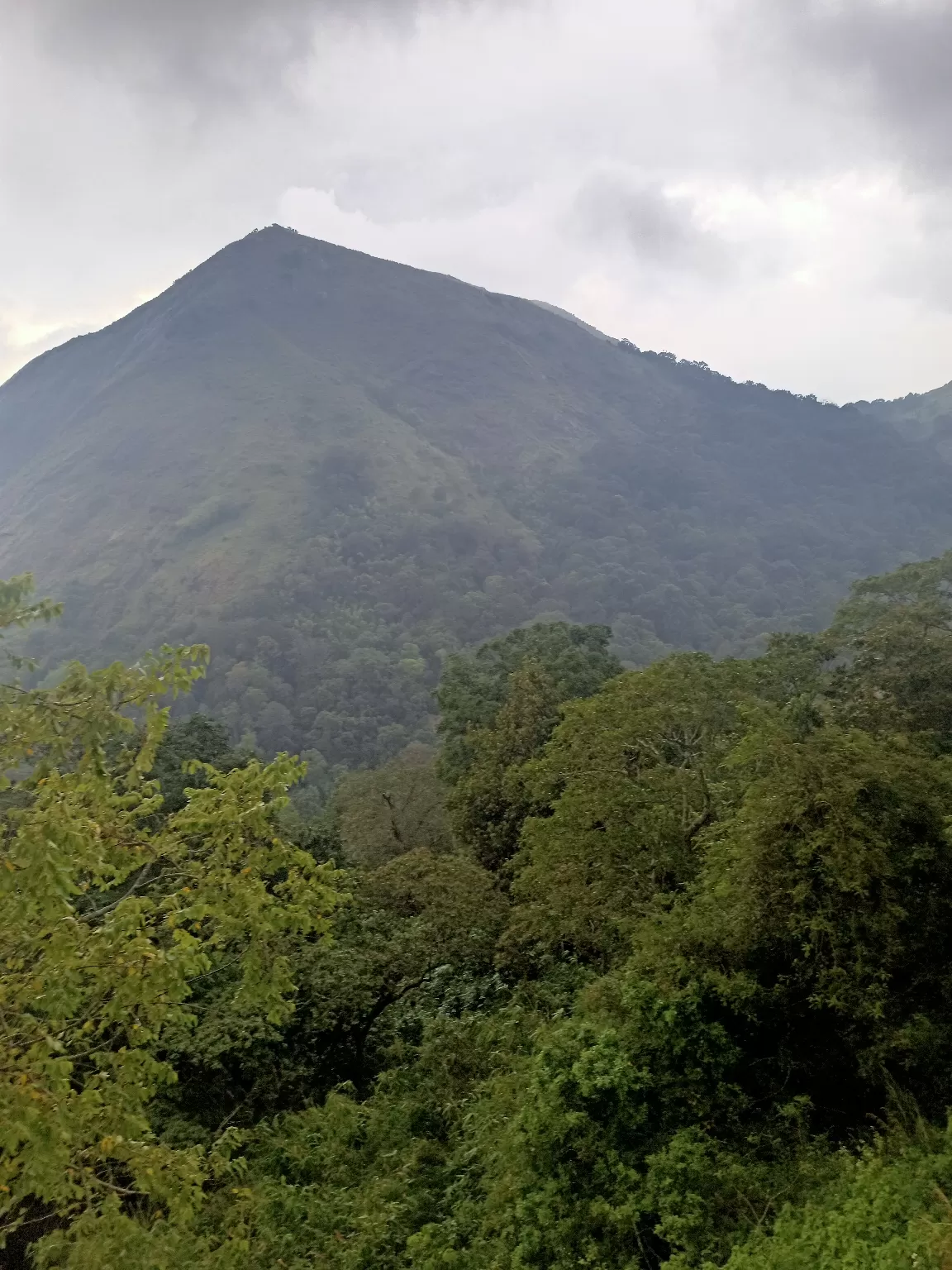 Photo of Nelliyampathy By Jassim Mukkattil