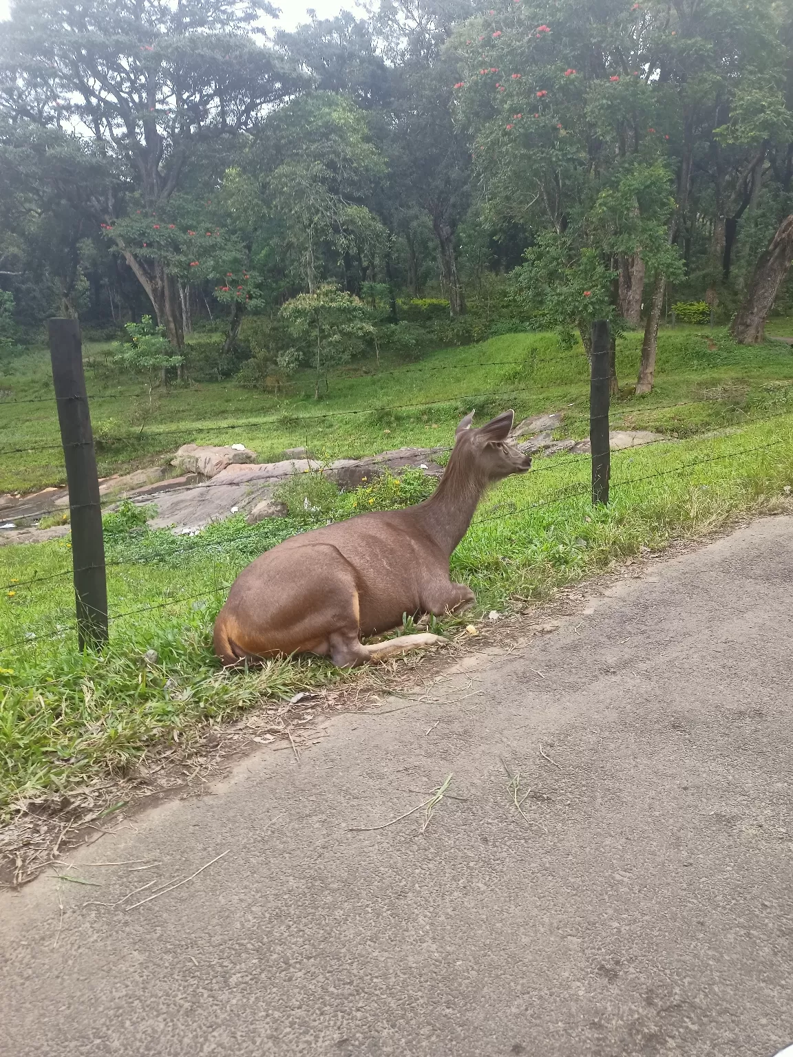 Photo of Nelliyampathy By Jassim Mukkattil