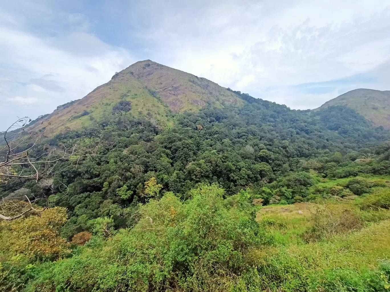 Photo of Nelliyampathy By Jassim Mukkattil