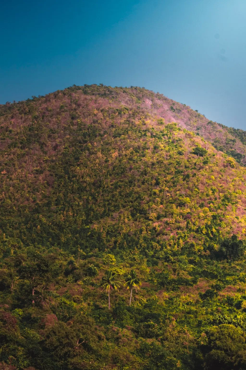 Photo of Keonjhar By Chinmay Singh