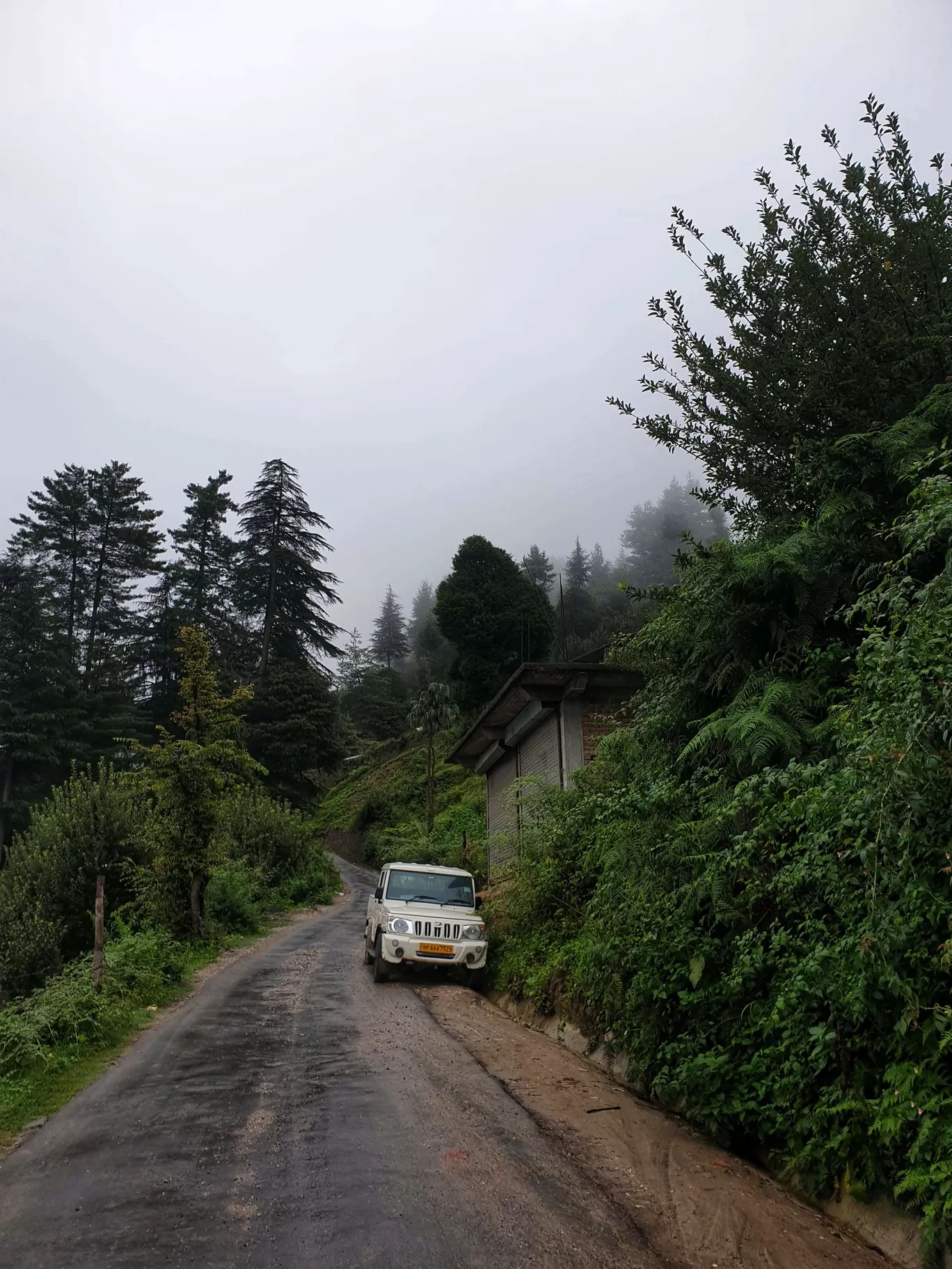 Photo of Rumsu Village By Prakriti Singh