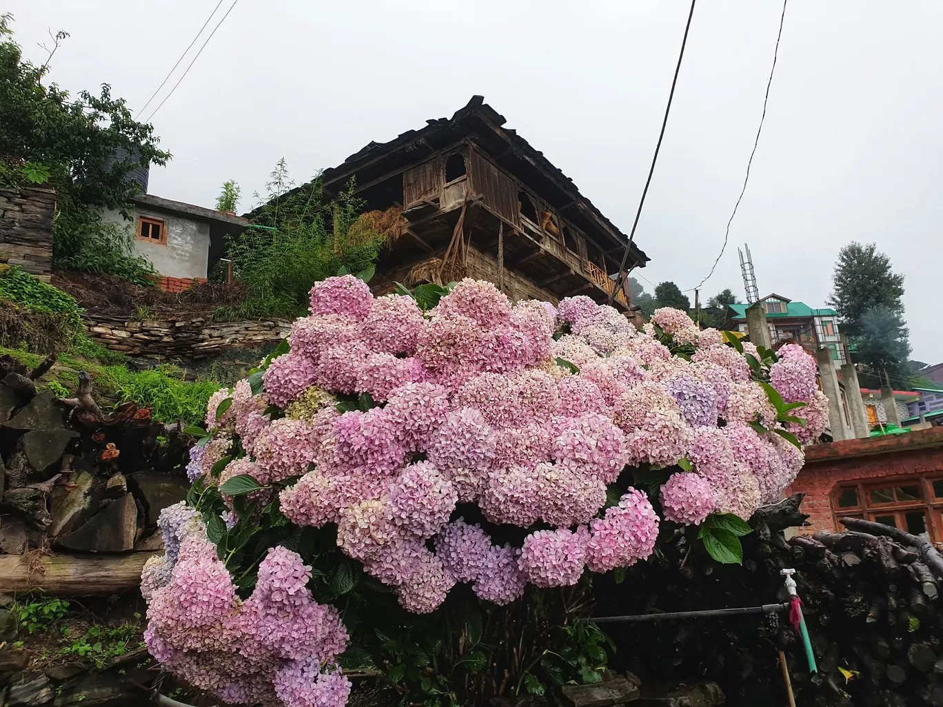 Photo of Rumsu Village By Prakriti Singh