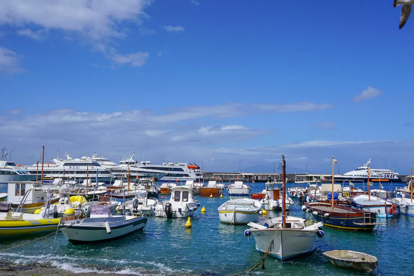 Photo of Capri By archana reddy