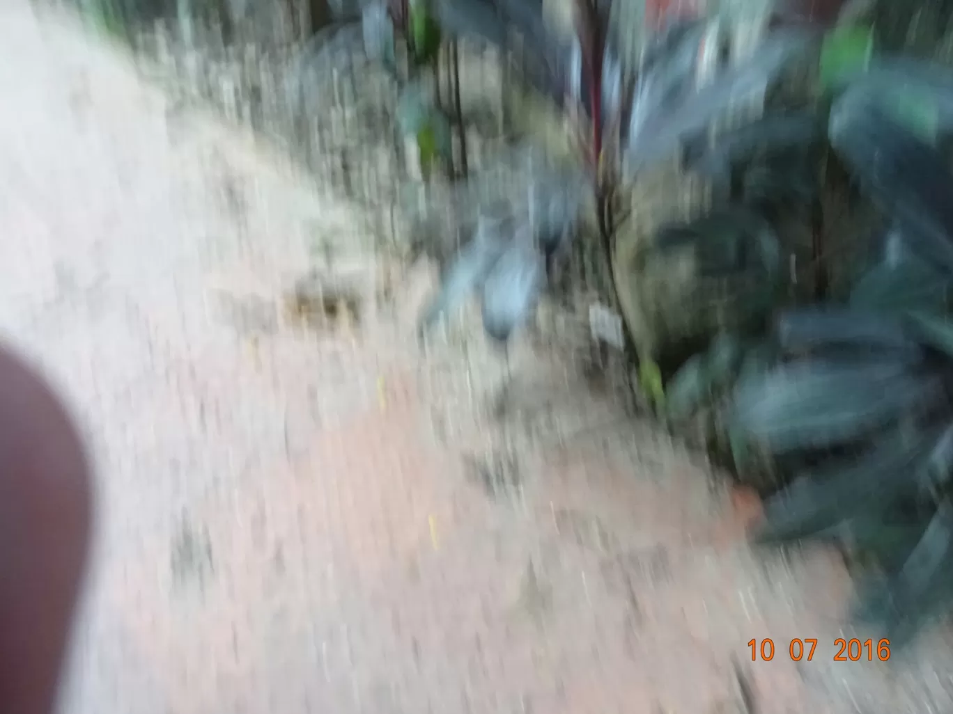 Photo of Acharya Jagadish Chandra Bose Road By Amit Tomar