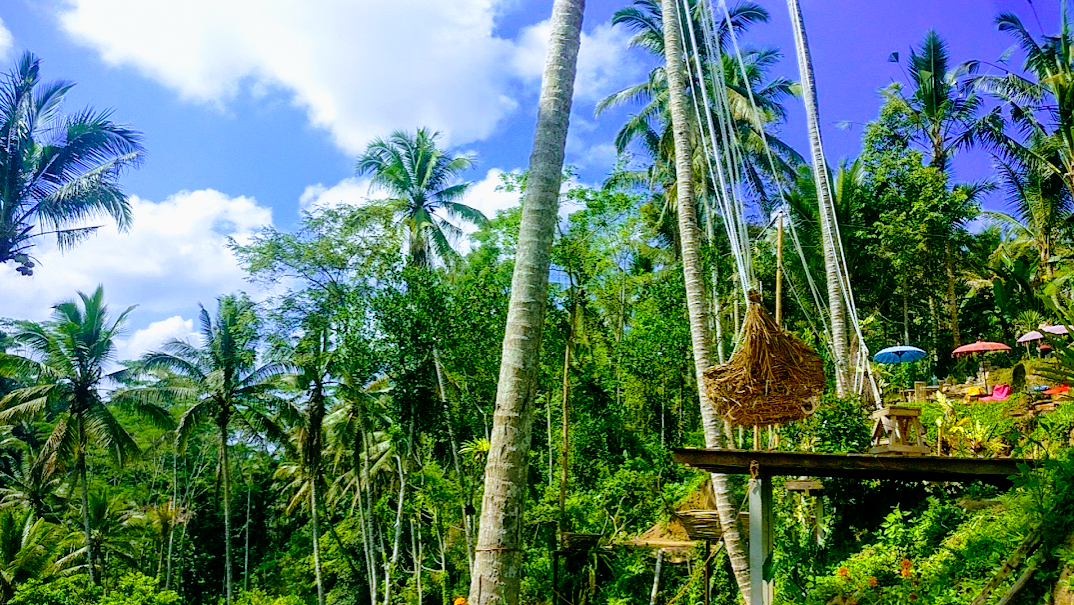 Photo of Tegallalang Rice Terrace By Penning Silly Thoughts