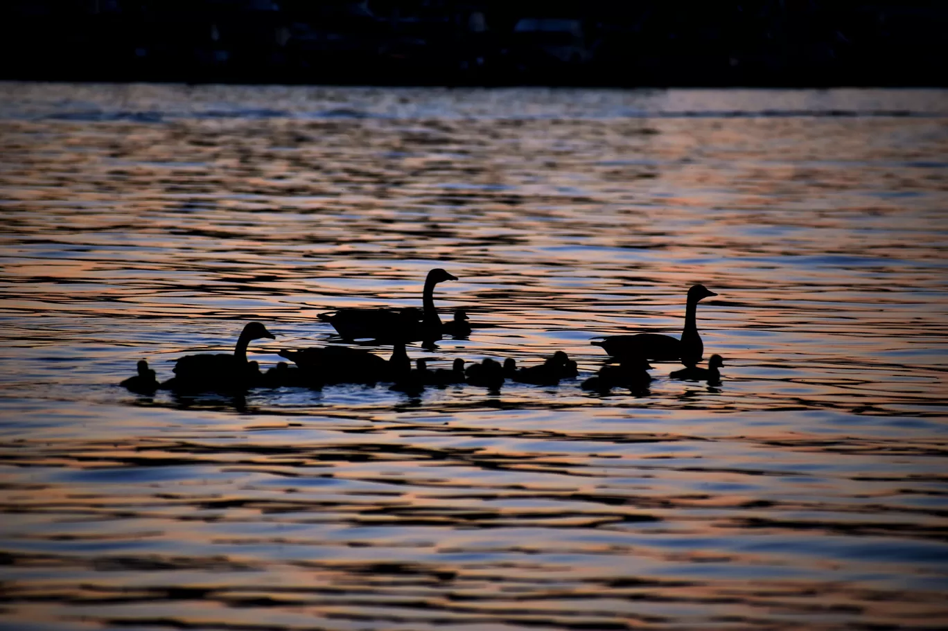 Photo of South Lake Union By Penning Silly Thoughts