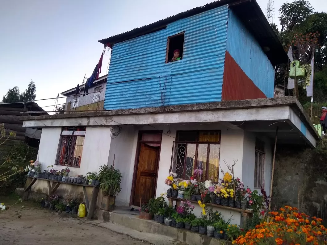 Photo of Sandakphu By Aishwarya Sheral