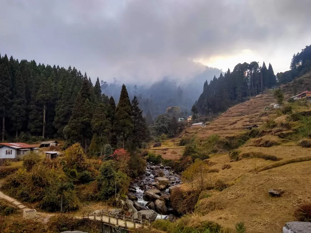 Photo of Sandakphu By Aishwarya Sheral