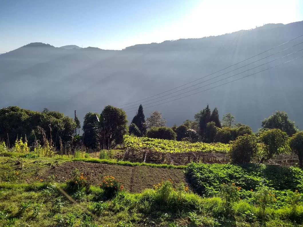 Photo of Sandakphu By Aishwarya Sheral