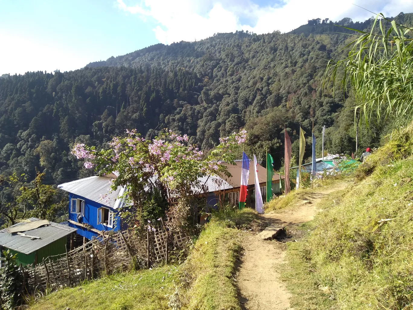 Photo of Sandakphu By Aishwarya Sheral