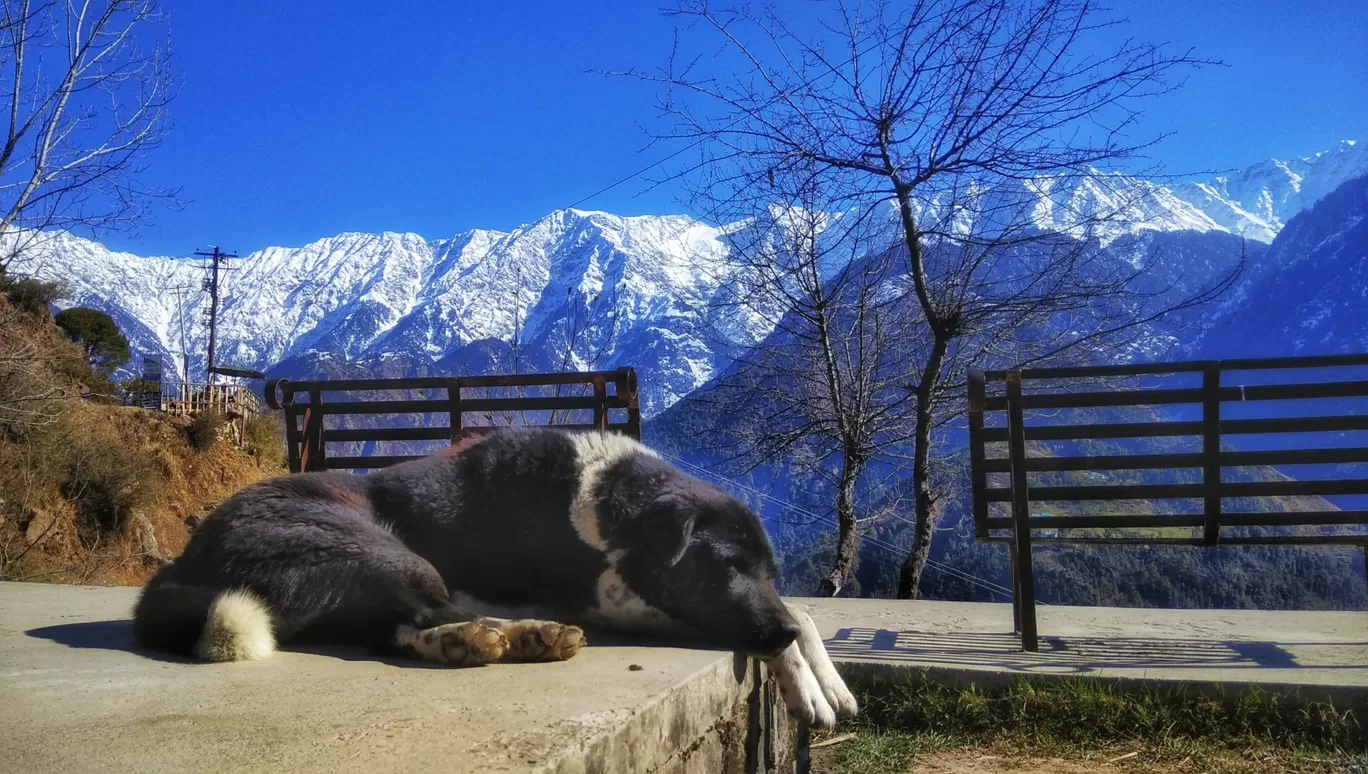 Photo of Chechian Khas By Sanjeev Kumar