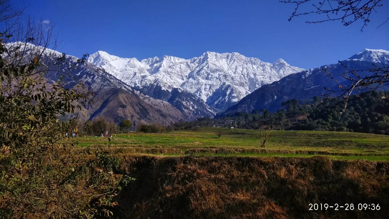 Photo of Chechian Khas By Sanjeev Kumar