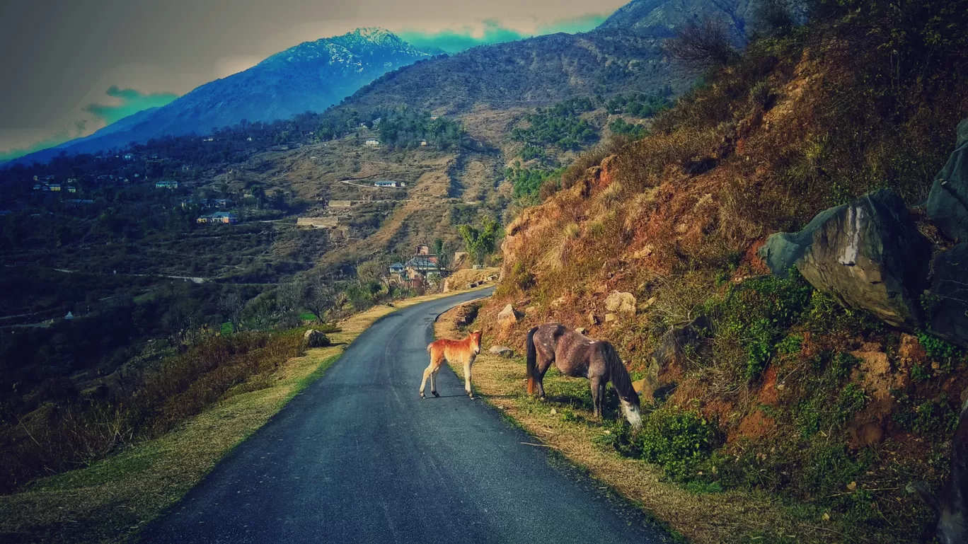 Photo of Chechian Khas By Sanjeev Kumar