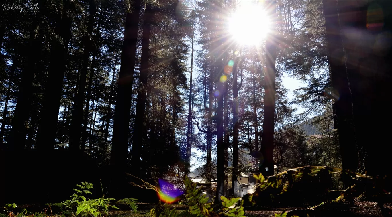 Photo of Manali By Kshitij Patle