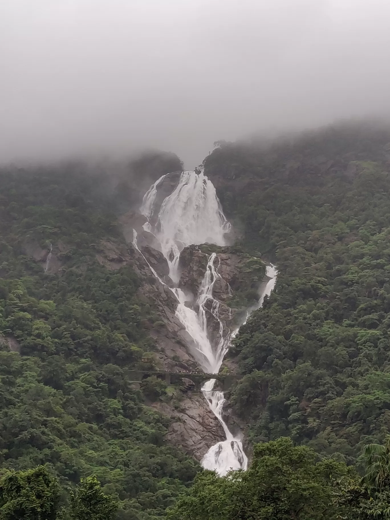 Photo of Dudhsagar Falls By Chandrakanth K