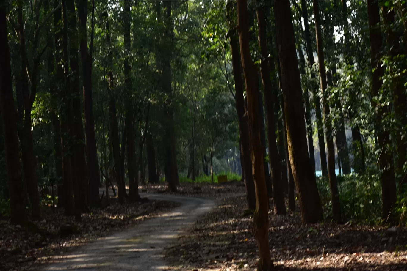 Photo of Jim Corbett National Park By khalid