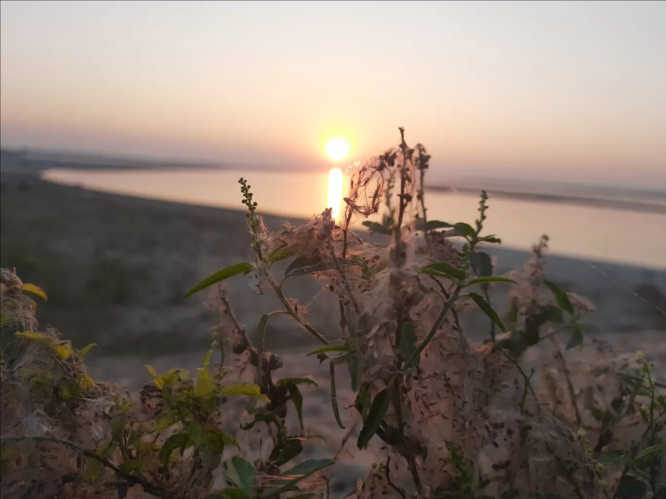 Photo of Koshi River Dam By Amit Kumar