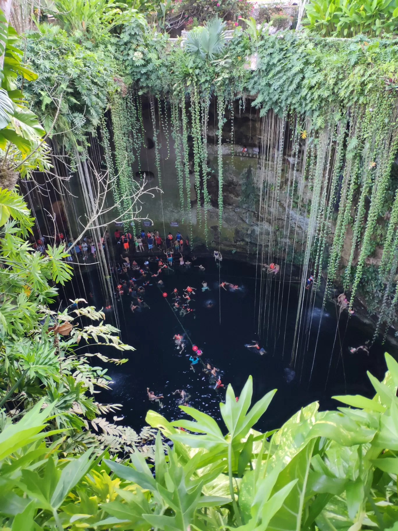 Photo of Cenote By Kashish Khan