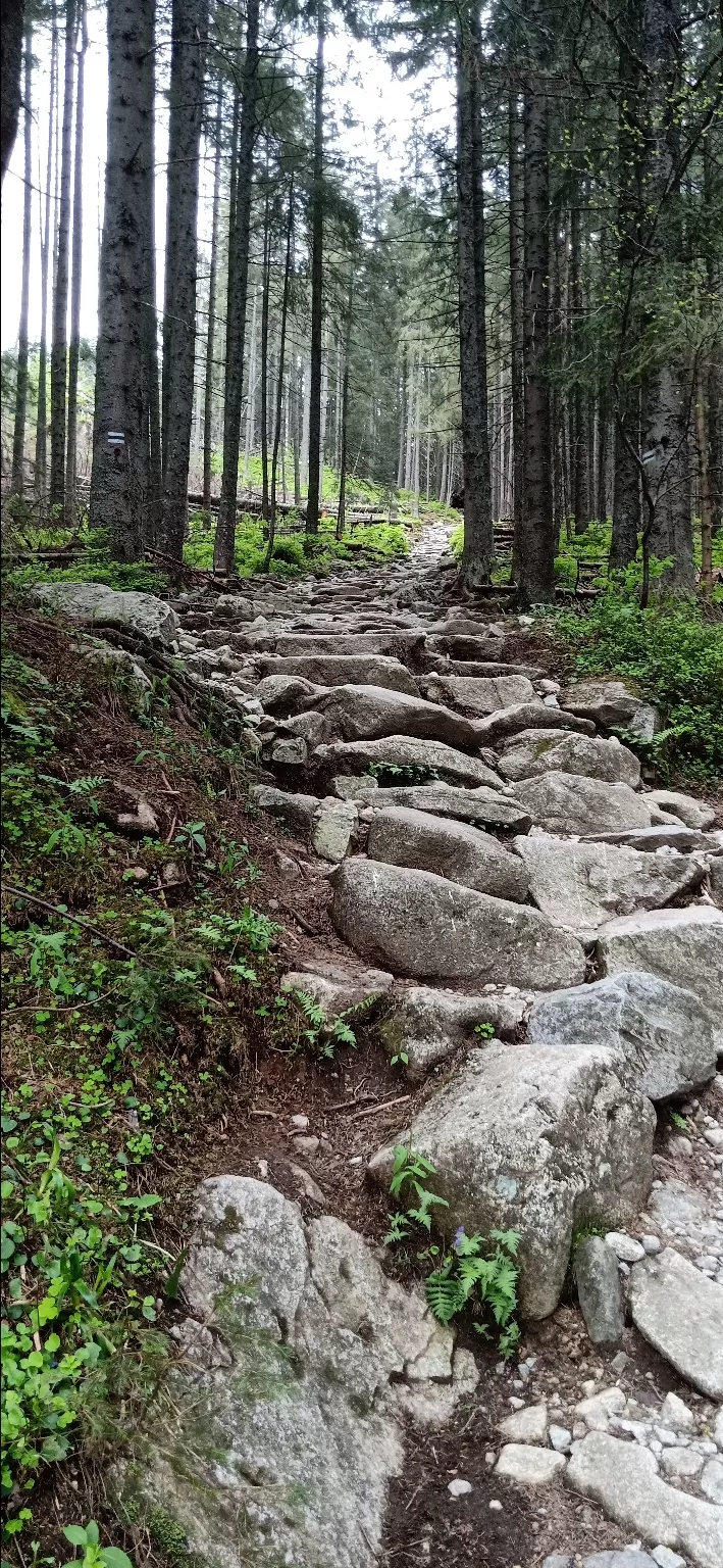 Photo of Zakopane By Ramyayoggi